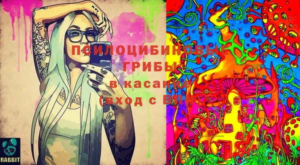 герыч Ачинск