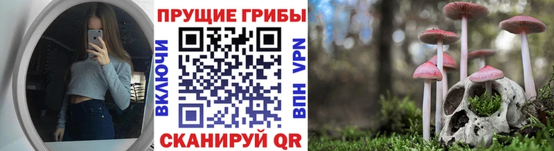 mega маркетплейс  сколько стоит  Заволжск  Псилоцибиновые грибы GOLDEN TEACHER 